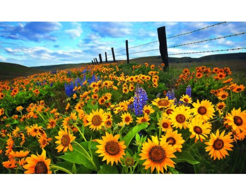 Desk Calendar DC2